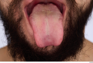 Turgen tongue 0001.jpg